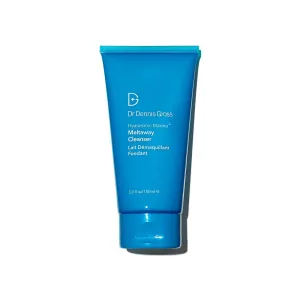 Dr. Dennis Gross Hyaluronic Marine Meltaway Cleanser