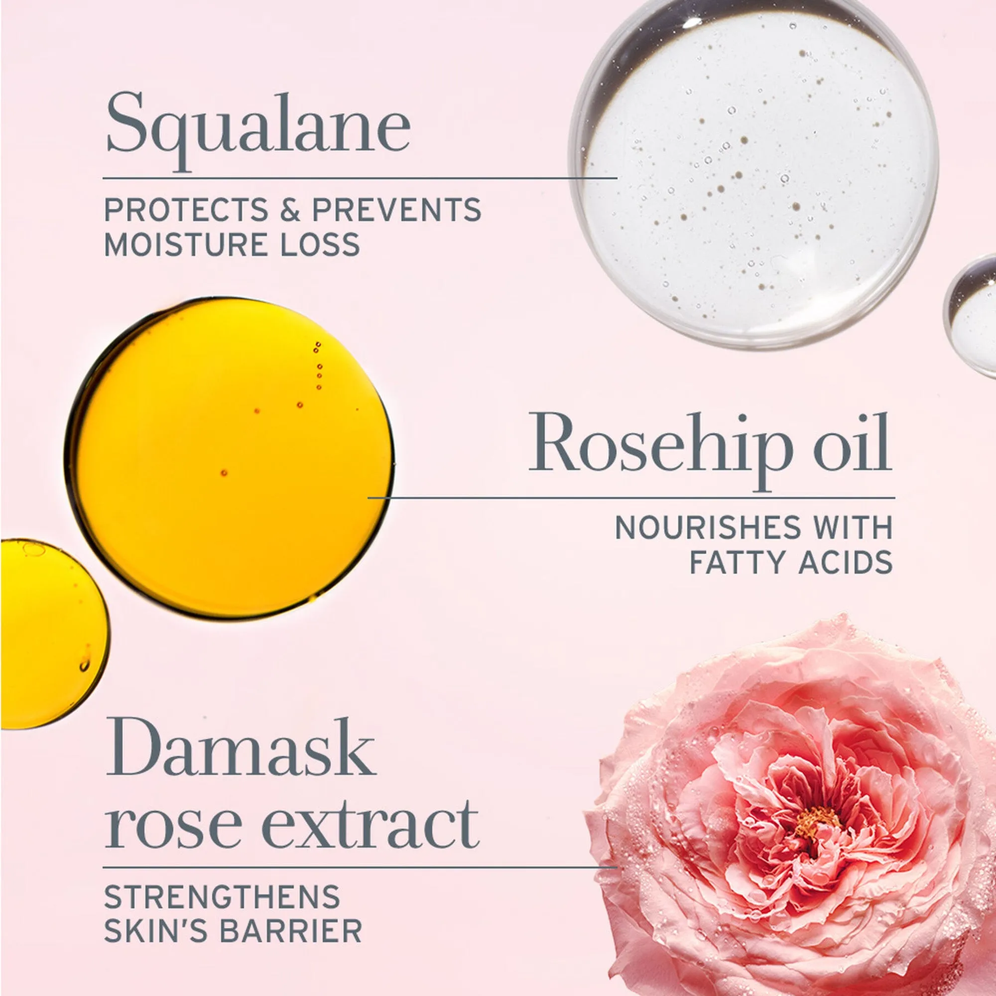 Fresh Rose Oil Infused Serum 3.4oz