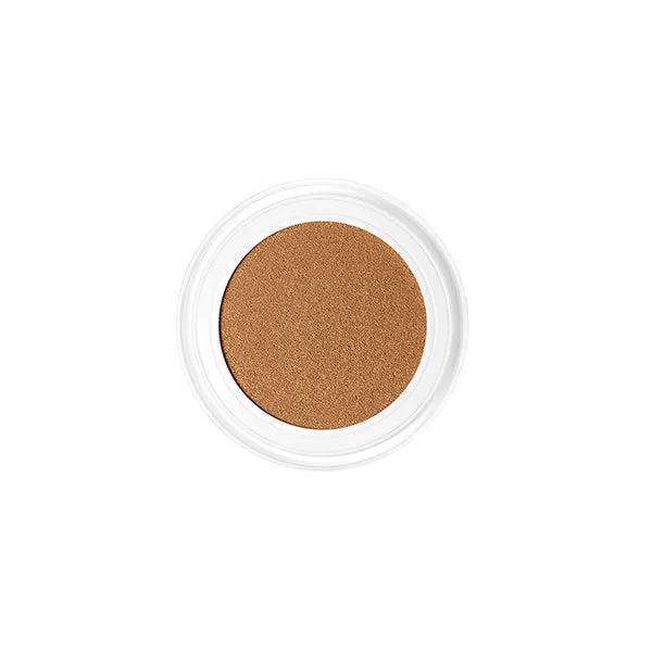 Future Skin Cushion Foundation Chantecaille