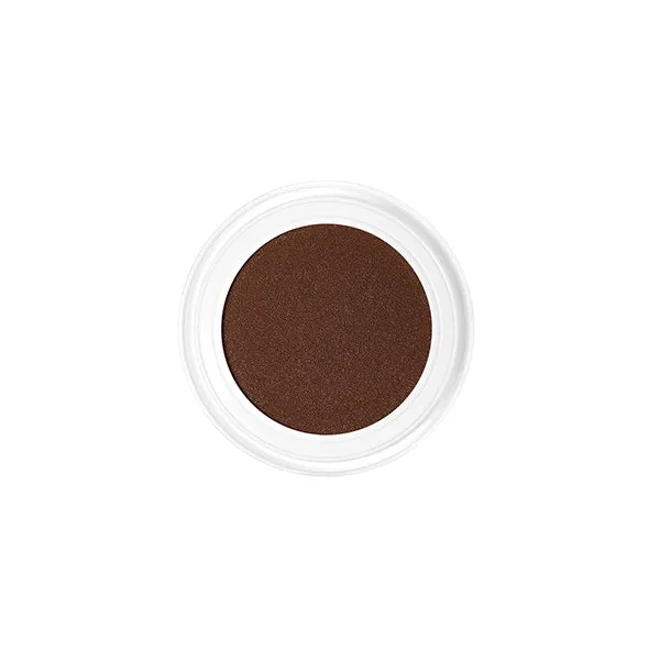 Future Skin Cushion Foundation Chantecaille