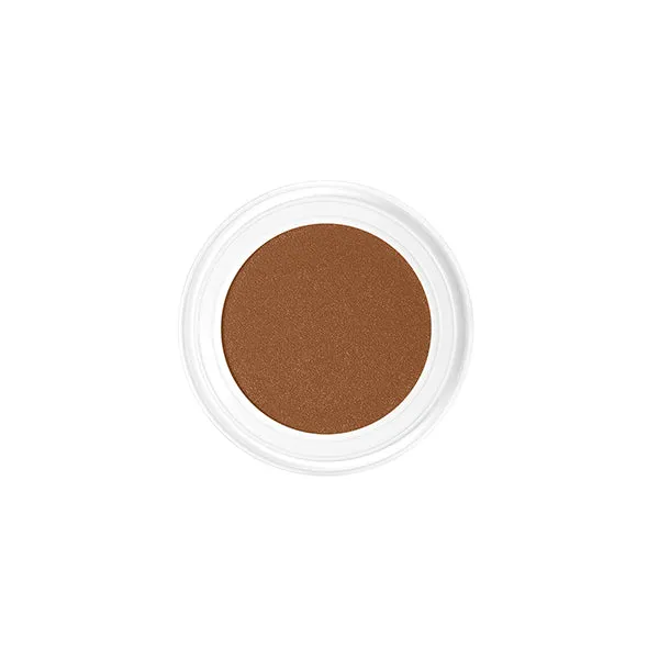 Future Skin Cushion Foundation Chantecaille