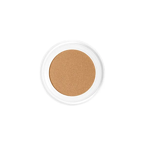 Future Skin Cushion Foundation Chantecaille