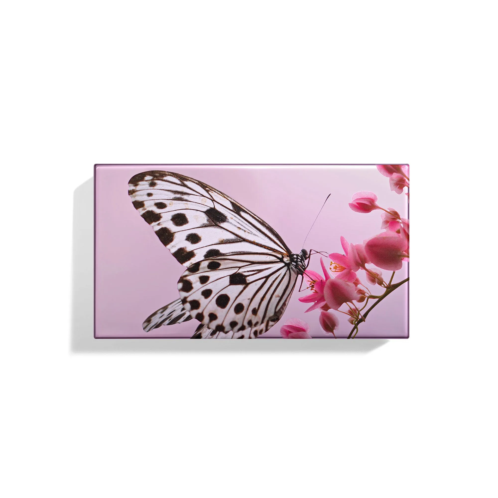 Les Papillons Nymph Eye Trio Chantecaille