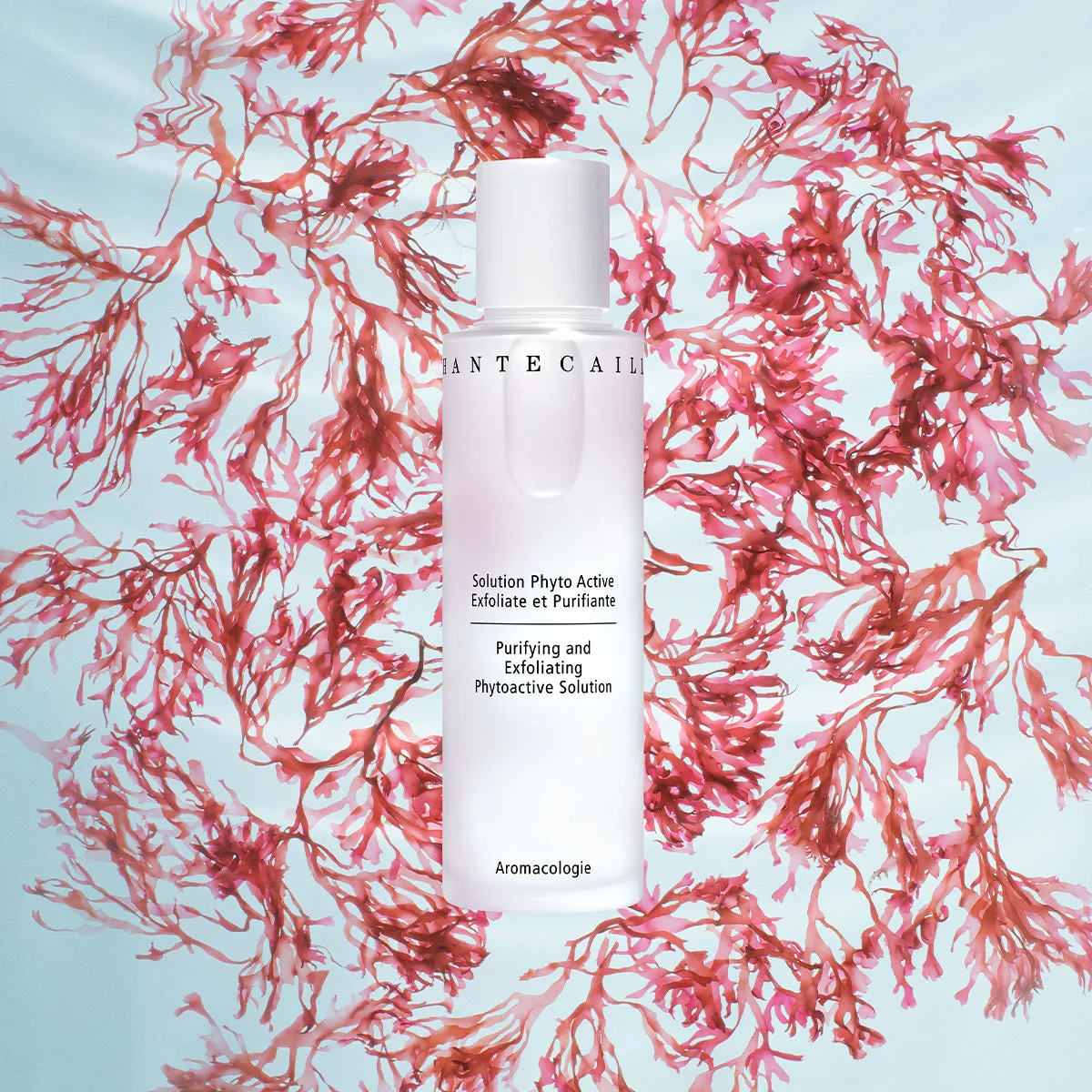 Purifying and Exfoliating Phytoactive Solution Chantecaille