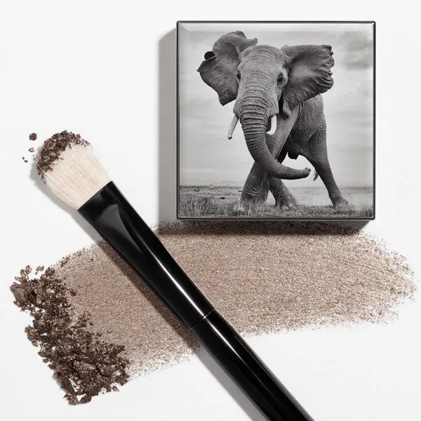 Shade and Sweep Eye Brush Chantecaille